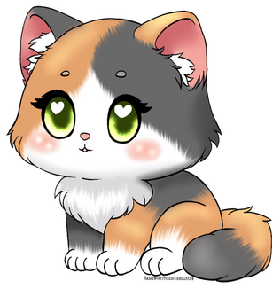 Kitkat